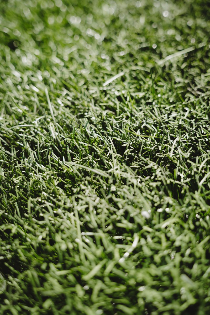 Stukje kunstgras Jan Louwers Stadion per m2 - Afbeelding 4