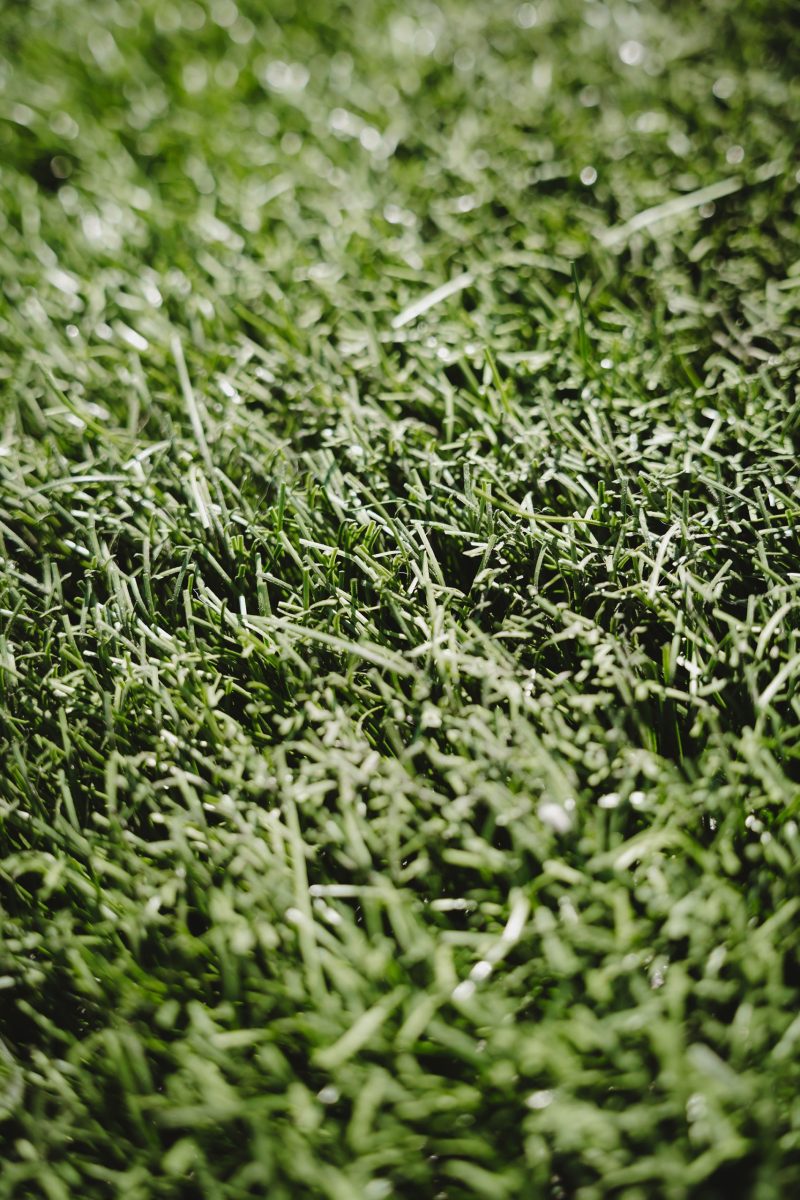 Stukje kunstgras Jan Louwers Stadion per m2 - Afbeelding 4