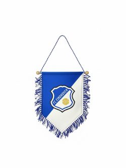 FC Eindhoven Vaan groot